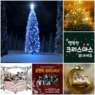 SOUL님의 자유주제 · 자유게시판 작성글 사진