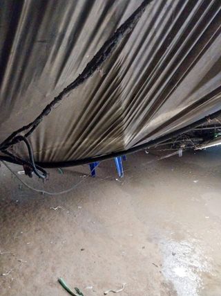 당진시 옥수수님의 자유주제 · 자유게시판 작성글 사진