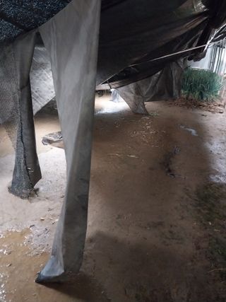 당진시 옥수수님의 자유주제 · 자유게시판 작성글 사진