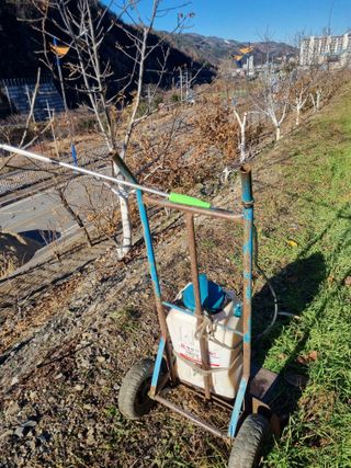 김용대님의 자유주제 · 자유게시판 작성글 사진