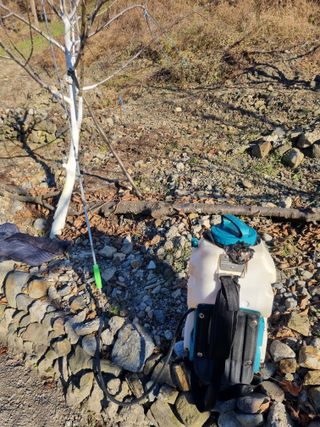 김용대님의 자유주제 · 자유게시판 작성글 사진