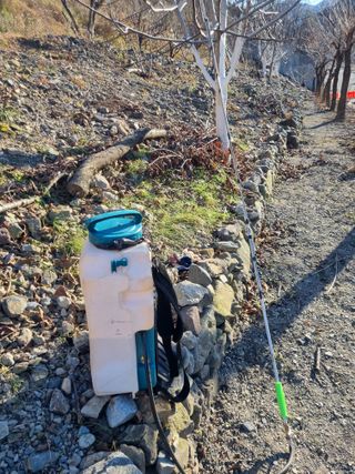 김용대님의 자유주제 · 자유게시판 작성글 사진