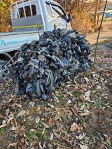 팜모닝 기타작물·영농일지 게시글 이미지