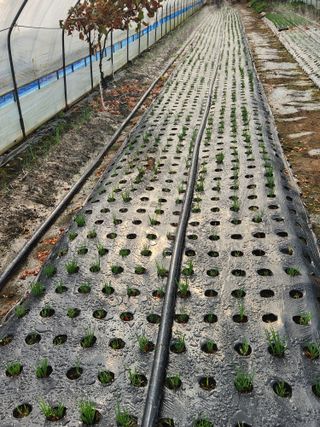 갑돌이님의 자유주제 · 자유게시판 작성글 사진