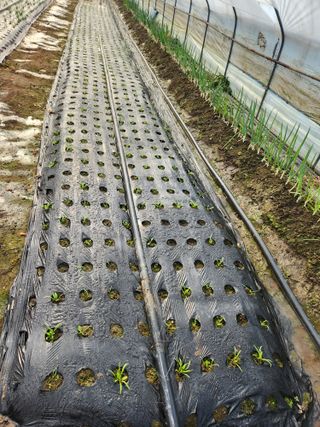 갑돌이님의 자유주제 · 자유게시판 작성글 사진