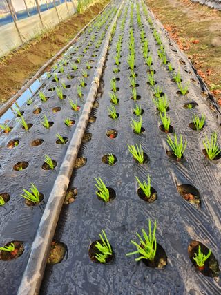 갑돌이님의 자유주제 · 자유게시판 작성글 사진