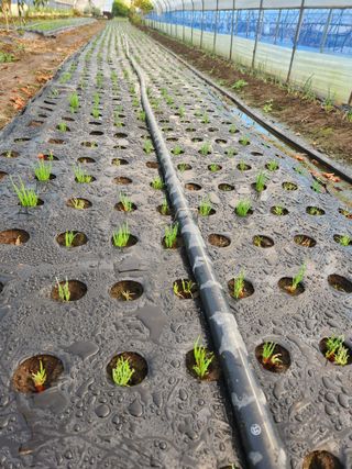 갑돌이님의 자유주제 · 자유게시판 작성글 사진