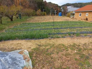 심무재 님의 12월 작물 자랑하기 · 참여글 작성글 사진