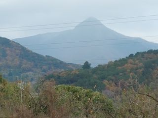 안길원님의 자유주제 · 자유게시판 작성글 사진