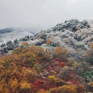 안길원님의 자유주제 · 자유게시판 작성글 사진