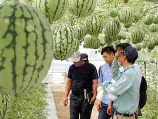 알 수 없음님의 자유주제 · 사진전 작성글 사진