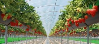 알 수 없음님의 자유주제 · 사진전 작성글 사진