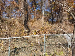 박상현님의 자유주제 · 자유게시판 작성글 사진