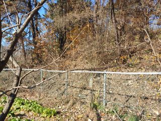 박상현님의 자유주제 · 자유게시판 작성글 사진