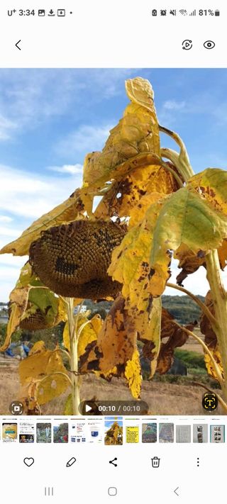정찬영님의 자유주제 · 자유게시판 작성글 사진