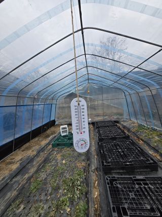 필라댄스농부님의 기타작물 · 영농일지 작성글 사진