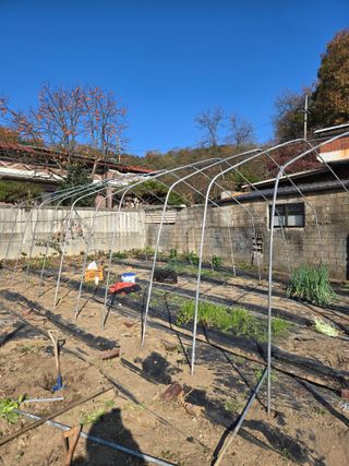 필라댄스농부님의 기타작물 · 영농일지 작성글 사진