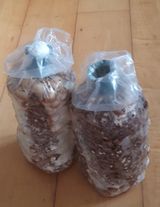 팜모닝 자유주제·칭찬해요 게시글 이미지