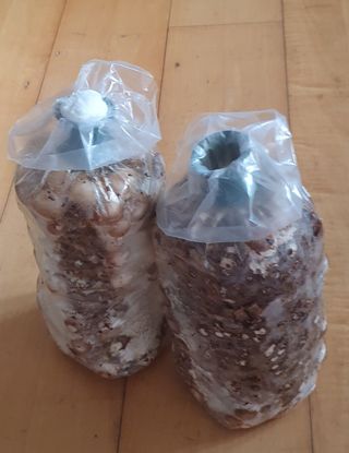 함영숙 님의 자유주제 · 칭찬해요 작성글 사진