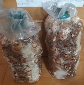 함영숙 님의 자유주제 · 칭찬해요 작성글 사진