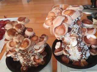 함영숙 님의 자유주제 · 칭찬해요 작성글 사진