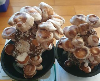 함영숙 님의 자유주제 · 칭찬해요 작성글 사진