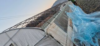 김혜순님의 자유주제 · 자유게시판 작성글 사진