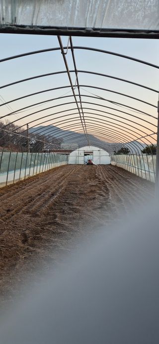 김혜순님의 자유주제 · 자유게시판 작성글 사진