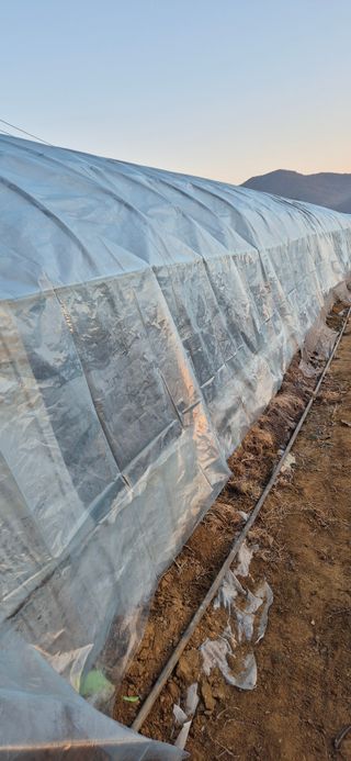 김혜순님의 자유주제 · 자유게시판 작성글 사진