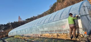 김혜순님의 자유주제 · 자유게시판 작성글 사진