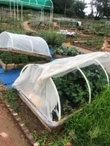 팜모닝 호박·자유게시판 게시글 이미지