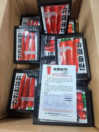 대산농사대장님의 고추 · 품종•종자 작성글 사진