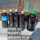 팜모닝 자유주제·자유게시판 게시글 이미지