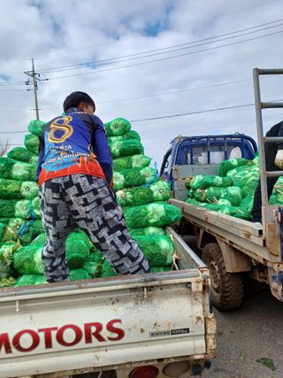 결단이님의 기타작물 · 영농일지 작성글 사진