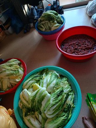 결단이님의 기타작물 · 영농일지 작성글 사진