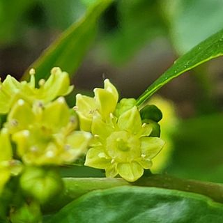 알 수 없음님의 학창 시절, 가장 좋아했던 노래나 가수는? · 참여글 작성글 사진