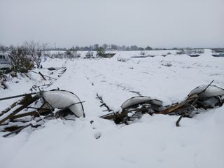 맞춤포도 드론방제님의 자유주제 · 자유게시판 작성글 사진
