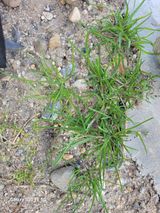 팜모닝 자유주제·자유게시판 게시글 이미지