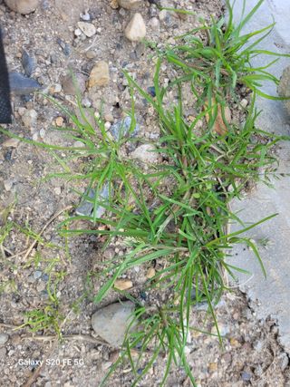 박위병님의 자유주제 · 자유게시판 작성글 사진