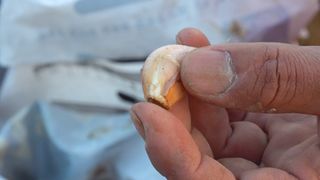 누보농장님의 자유주제 · 자유게시판 작성글 사진