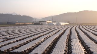 누보농장님의 자유주제 · 자유게시판 작성글 사진