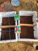 팜모닝 기타작물·영농일지 게시글 이미지