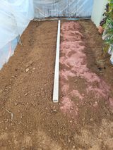 팜모닝 기타작물·영농일지 게시글 이미지