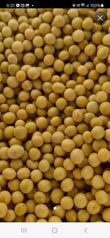 팜모닝 · 게시글 이미지