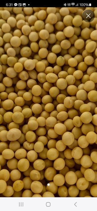 스마일님의 작성글 사진