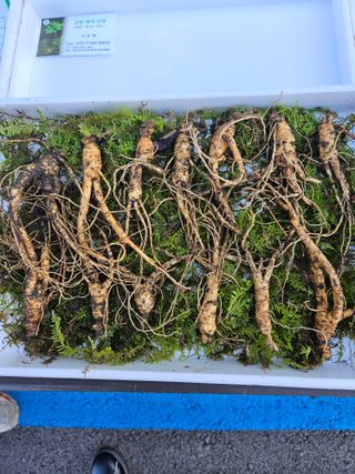 스마일님의 작성글 사진