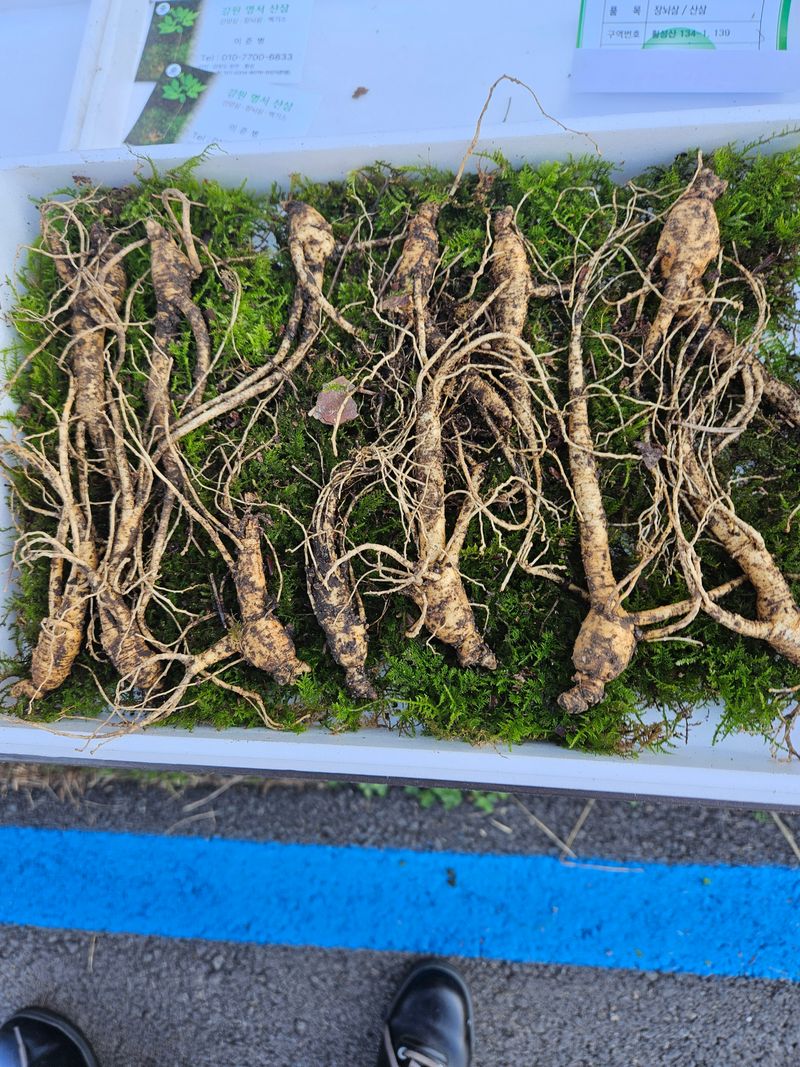 스마일님의 장터 판매 상품 [메주콩] 첨부 사진