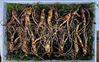 스마일님의 작성글 사진