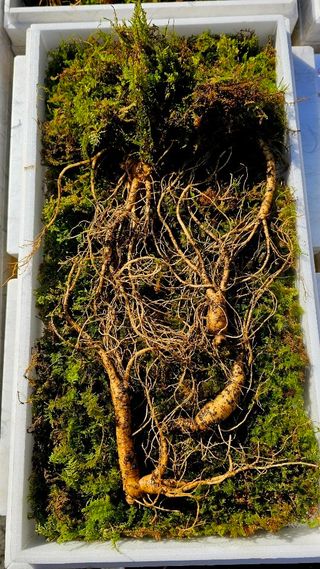 스마일님의 작성글 사진