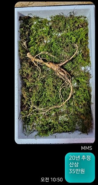 스마일님의 작성글 사진